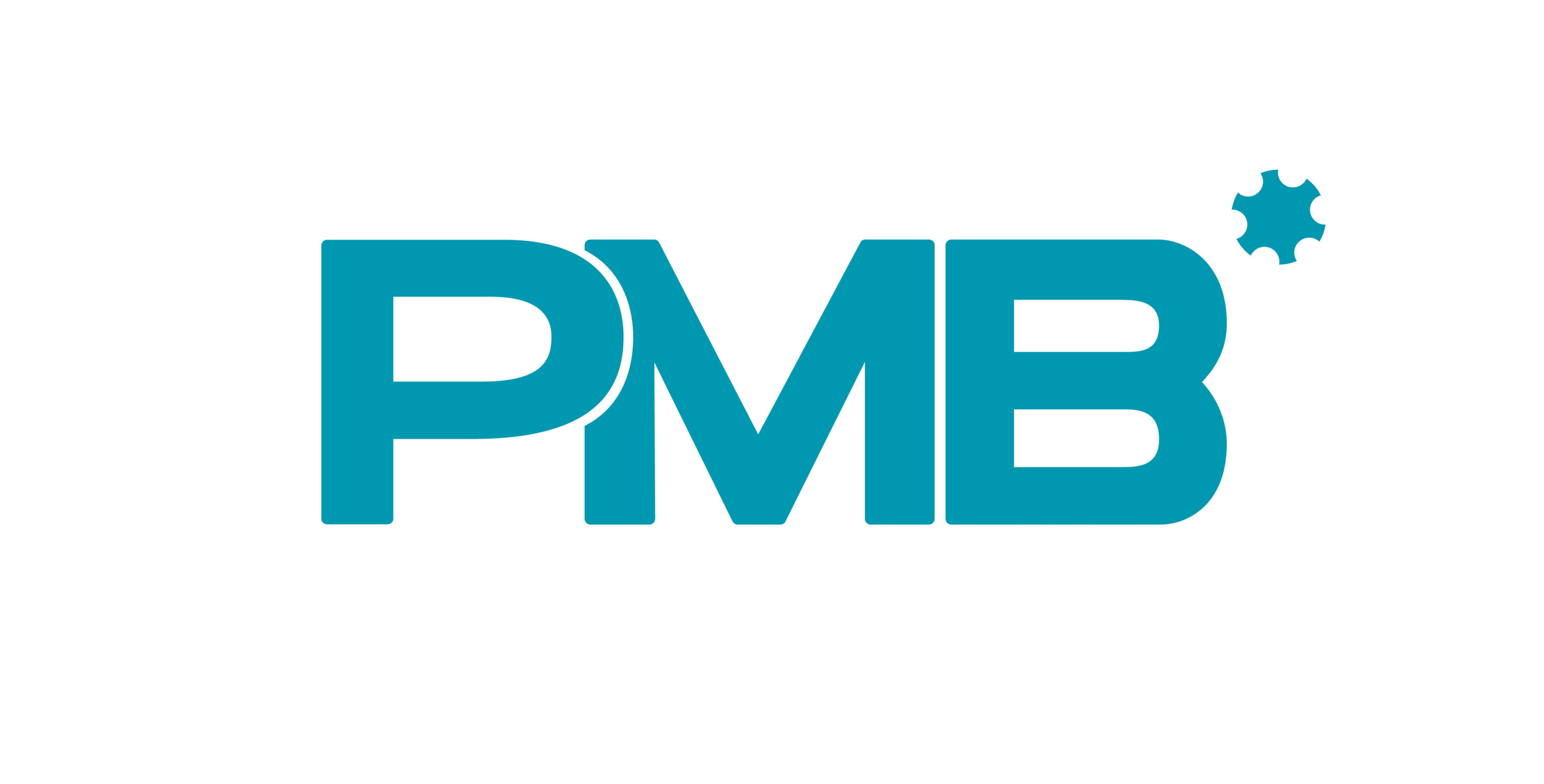 PMB logotyp